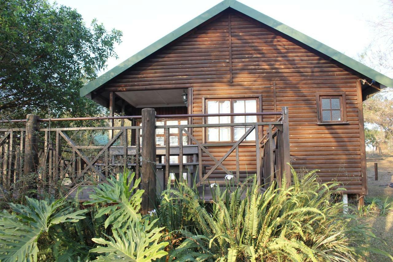 Acacia Bush Lodge ピーターマリッツバーグ エクステリア 写真