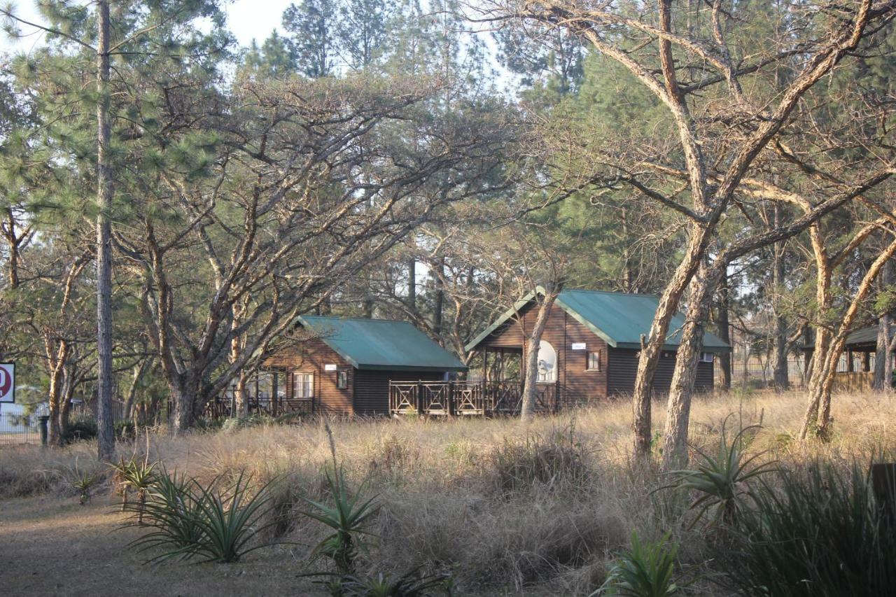 Acacia Bush Lodge ピーターマリッツバーグ エクステリア 写真